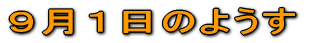 XP̂悤